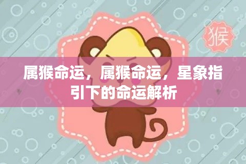 属猴命运深度解析,星象指引下的命运轨迹