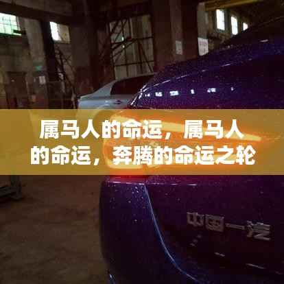 属马人的命运，奔腾在命运之轮上