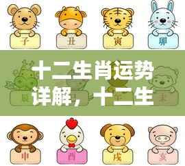 掌握命运之轮，十二生肖运势详解分析