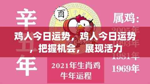 鸡人今日运势揭秘，把握机遇，展现无限活力