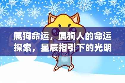 属狗人的命运探索，星辰指引下的光明之路