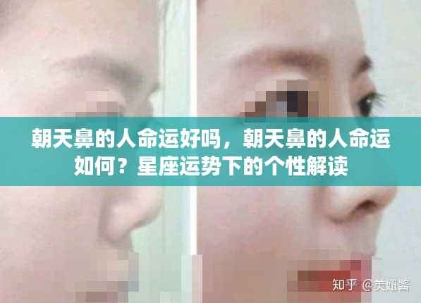 星座运势解读，朝天鼻的人命运个性分析