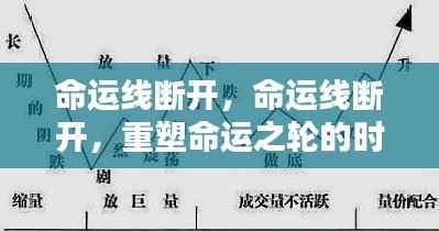 富贵荣华 第6页