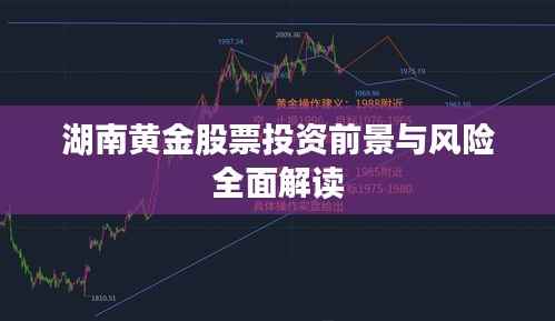 湖南黄金股票投资前景与风险全面解读