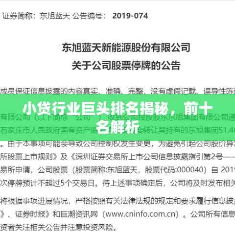 小贷行业巨头排名揭秘，前十名解析