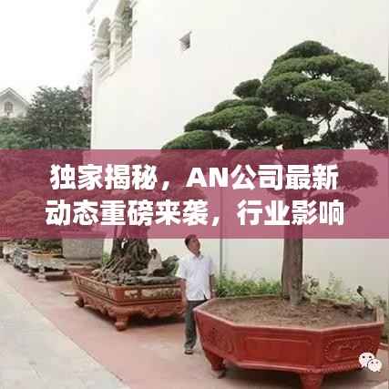独家揭秘，AN公司最新动态重磅来袭，行业影响深远！