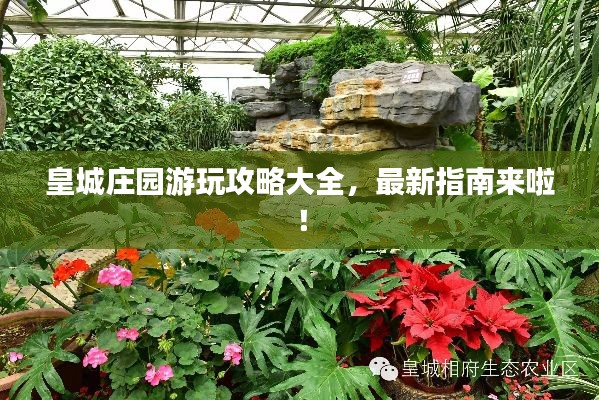 矢志不渝 第5页